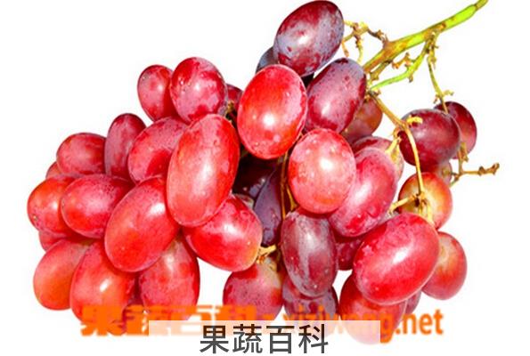 果蔬百科红葡萄和红提的区别