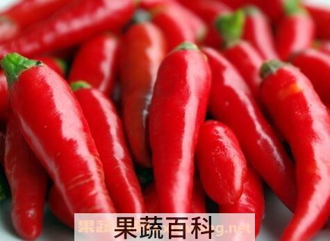 整小红尖椒的腌制方法