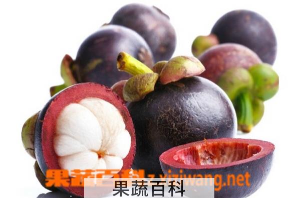果蔬百科吃山竹过敏症状