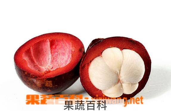果蔬百科山竹果皮