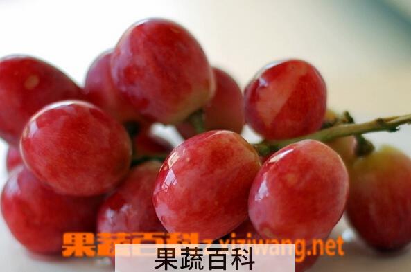 果蔬百科红提