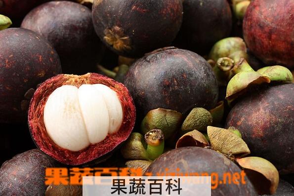 果蔬百科山竹保鲜方法