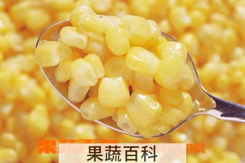 果蔬百科玉米