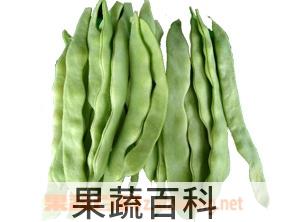 果蔬百科芸豆