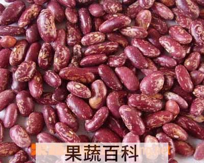 果蔬百科芸豆