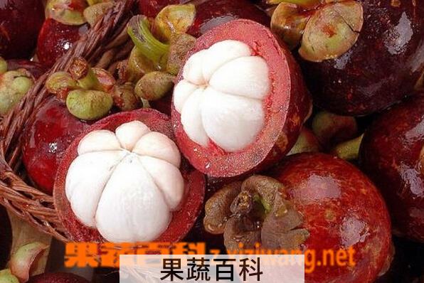 果蔬百科怀孕初期可以吃山竹吗