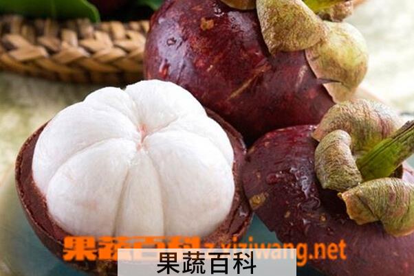 果蔬百科山竹果