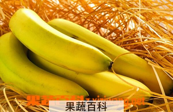 果蔬百科多吃香蕉有什么坏处
