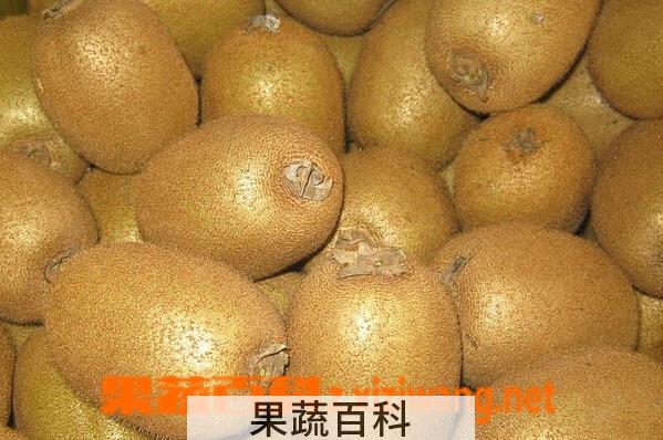 果蔬百科海沃德猕猴桃