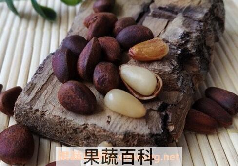 雪松籽的营养价值