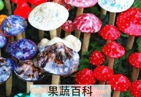 中国十大毒蘑菇