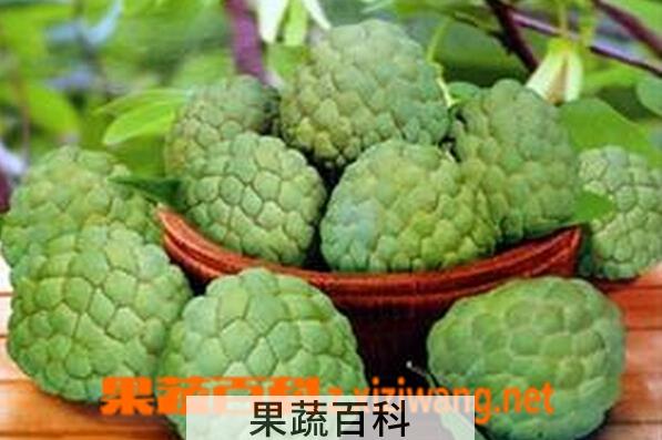 果蔬百科秘鲁番荔枝