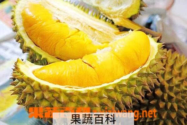 果蔬百科食用榴莲的注意事项