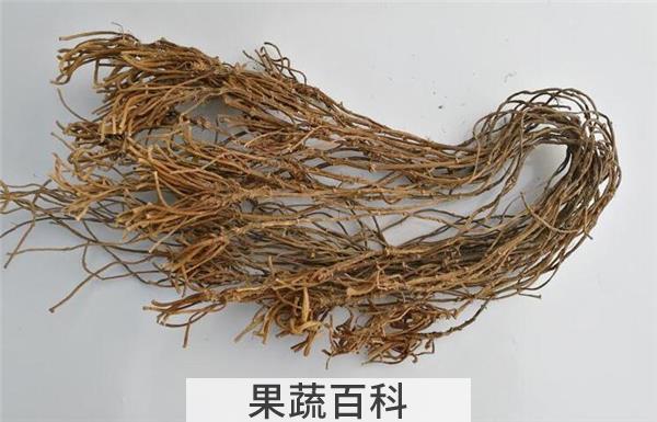 菱角的根茎可以吃吗，菱角根茎怎么做好吃法