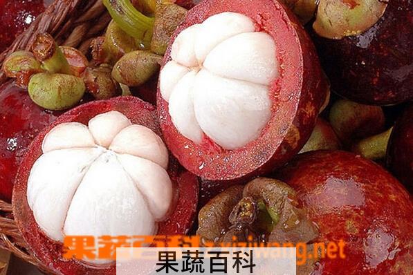 果蔬百科山竹壳