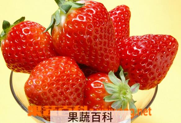 果蔬百科草莓