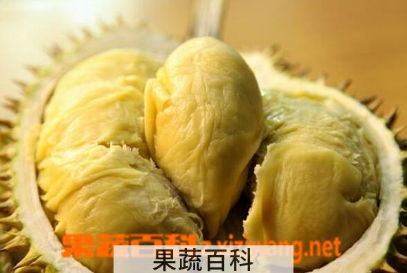 果蔬百科熟透的榴莲怎么吃