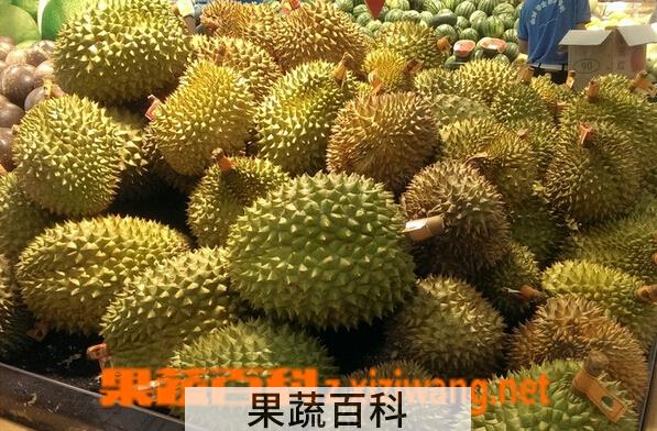 果蔬百科挑榴莲的窍门