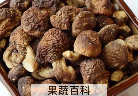  珍珠菇的功效与作用