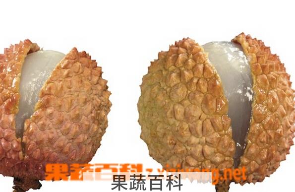 果蔬百科荔枝皮
