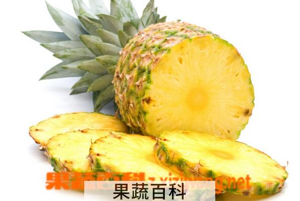 果蔬百科菠萝