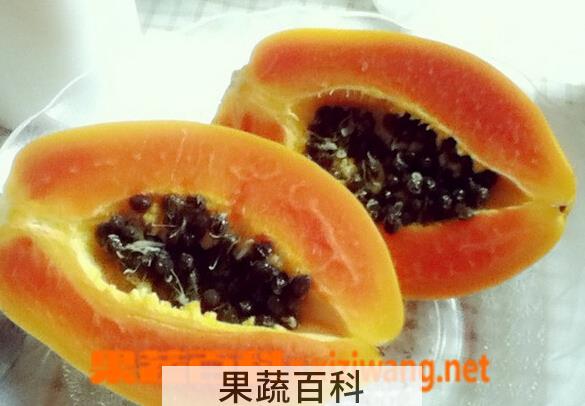 果蔬百科木瓜籽