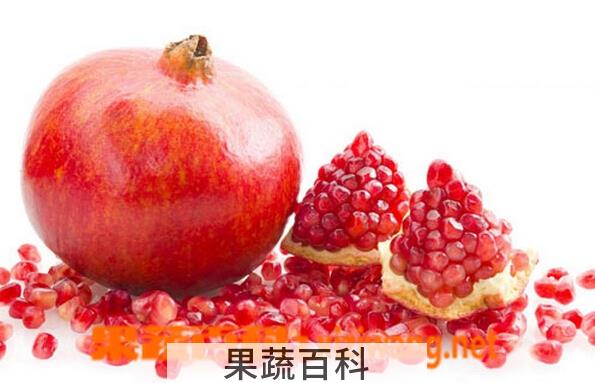 果蔬百科吃石榴要吐籽吗