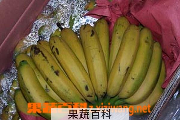 果蔬百科辨别催熟香蕉