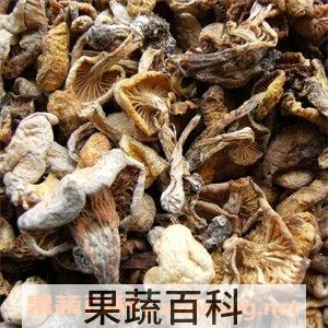 东北野生臻菇