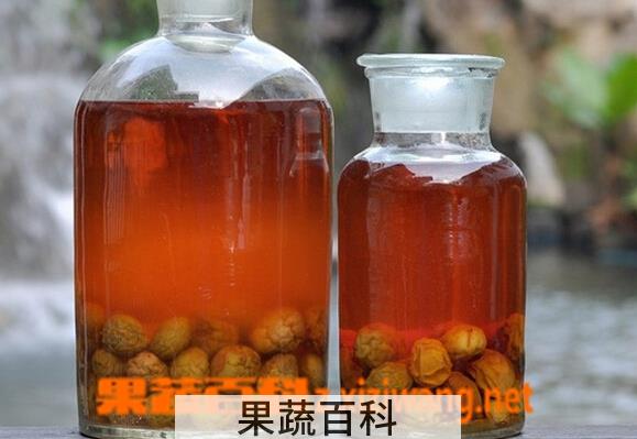 果蔬百科青梅酒