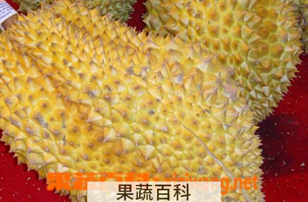 果蔬百科榴莲