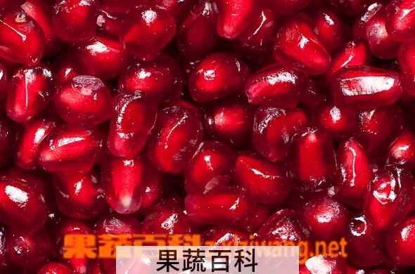 果蔬百科红石榴