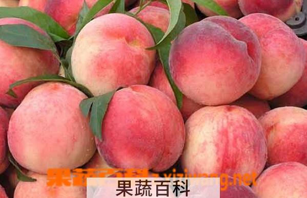 果蔬百科怎样催熟桃子