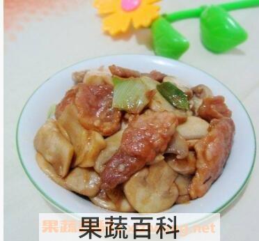 双胞菇