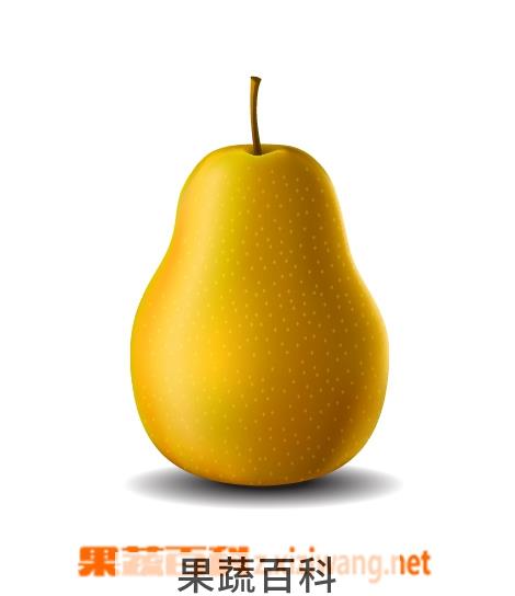 果蔬百科