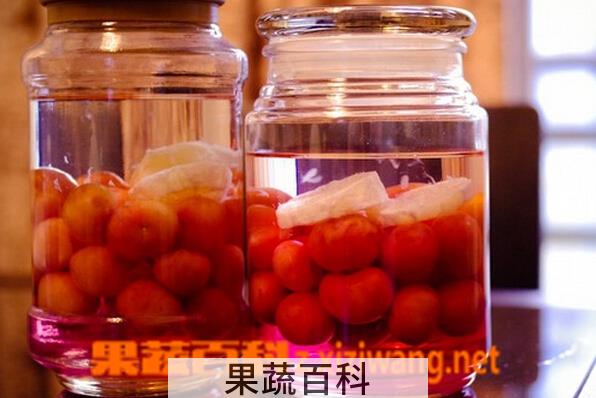 果蔬百科樱桃酒