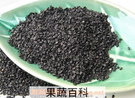 野韭菜籽的功效与作用