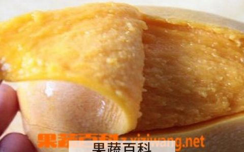 芒果皮的功效与作用禁忌是什么 芒果皮的功效与作用 芒果皮营养价值高