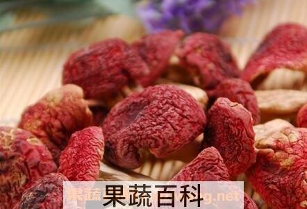 怎样分辨野生红菇真假