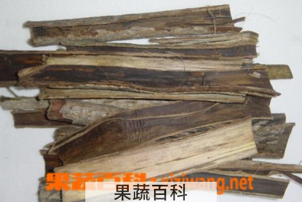 果蔬百科核桃树皮