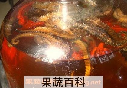 海马泡酒