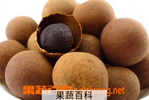 果蔬百科干桂圆