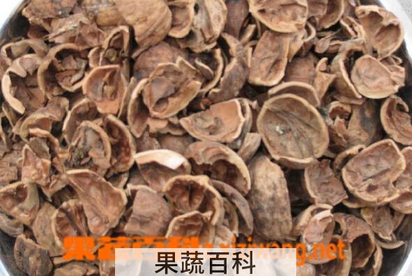 果蔬百科核桃壳