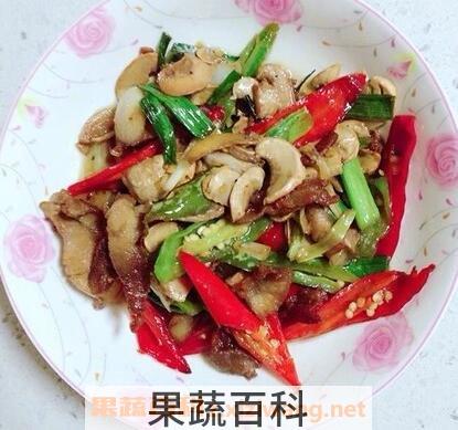 野生双孢菇