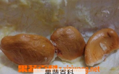 榴莲的功效与作用 榴莲核的功效与作用及食用方法