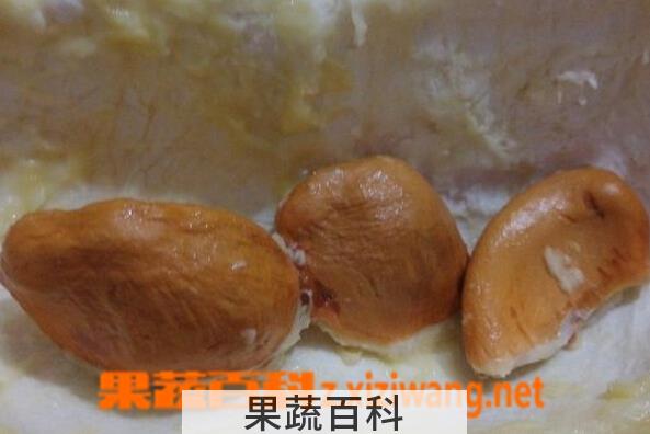 果蔬百科榴莲核