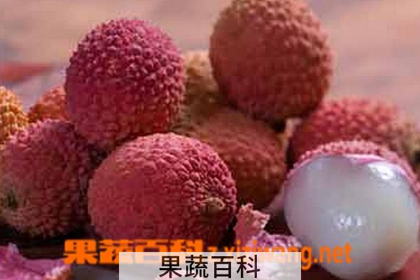 果蔬百科荔枝壳
