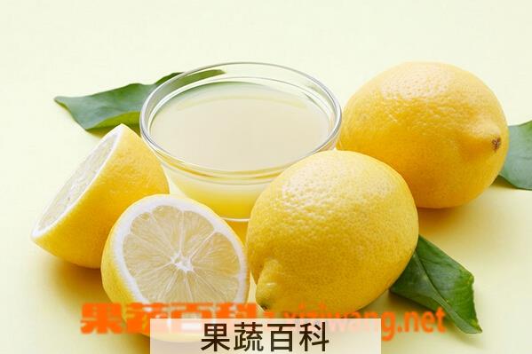果蔬百科鲜柠檬汁
