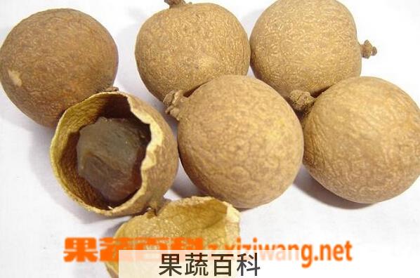 果蔬百科桂圆壳