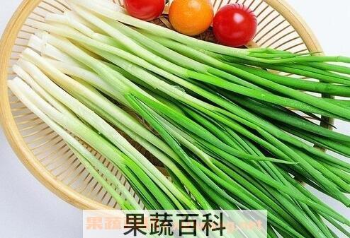 葱的妙用 葱的用途有哪些